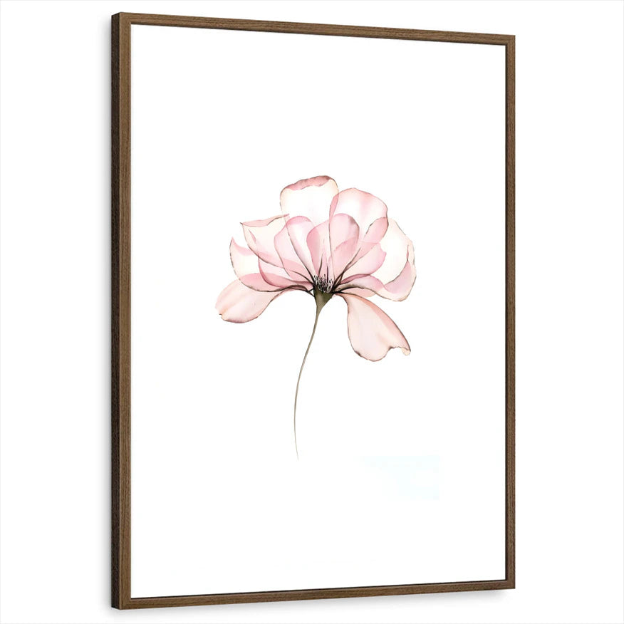 framed-print-brown-walnut-white-border