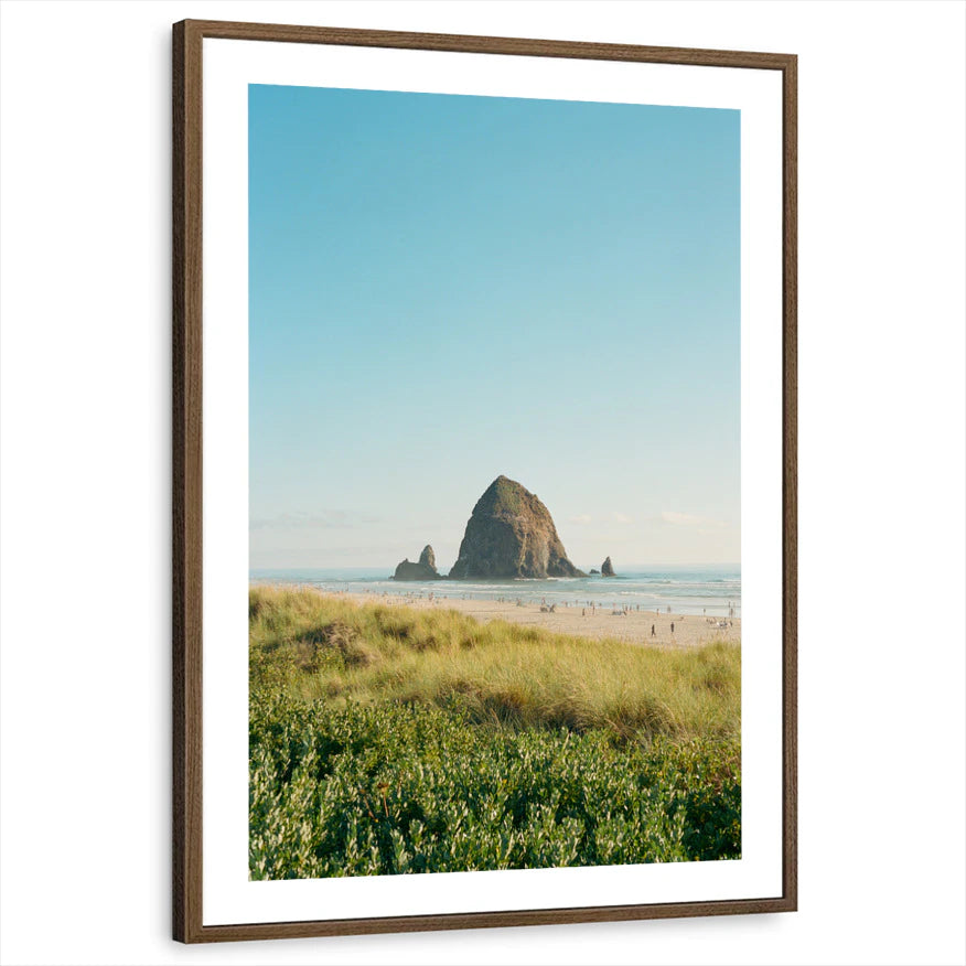 framed-print-brown-walnut-white-border