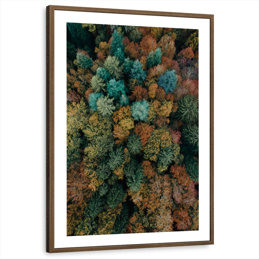 framed-print-brown-walnut-white-border