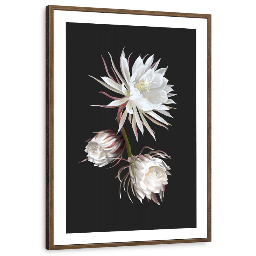 framed-print-brown-walnut-white-border