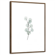 framed-print-brown-walnut-white-border