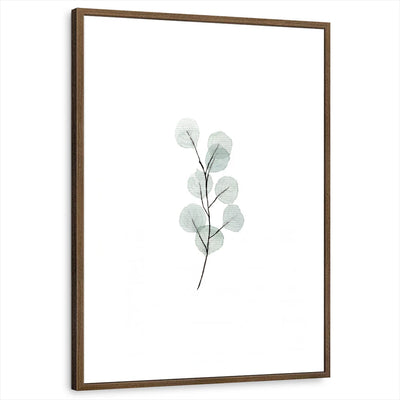 framed-print-brown-walnut-white-border
