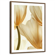 framed-print-brown-walnut-white-border