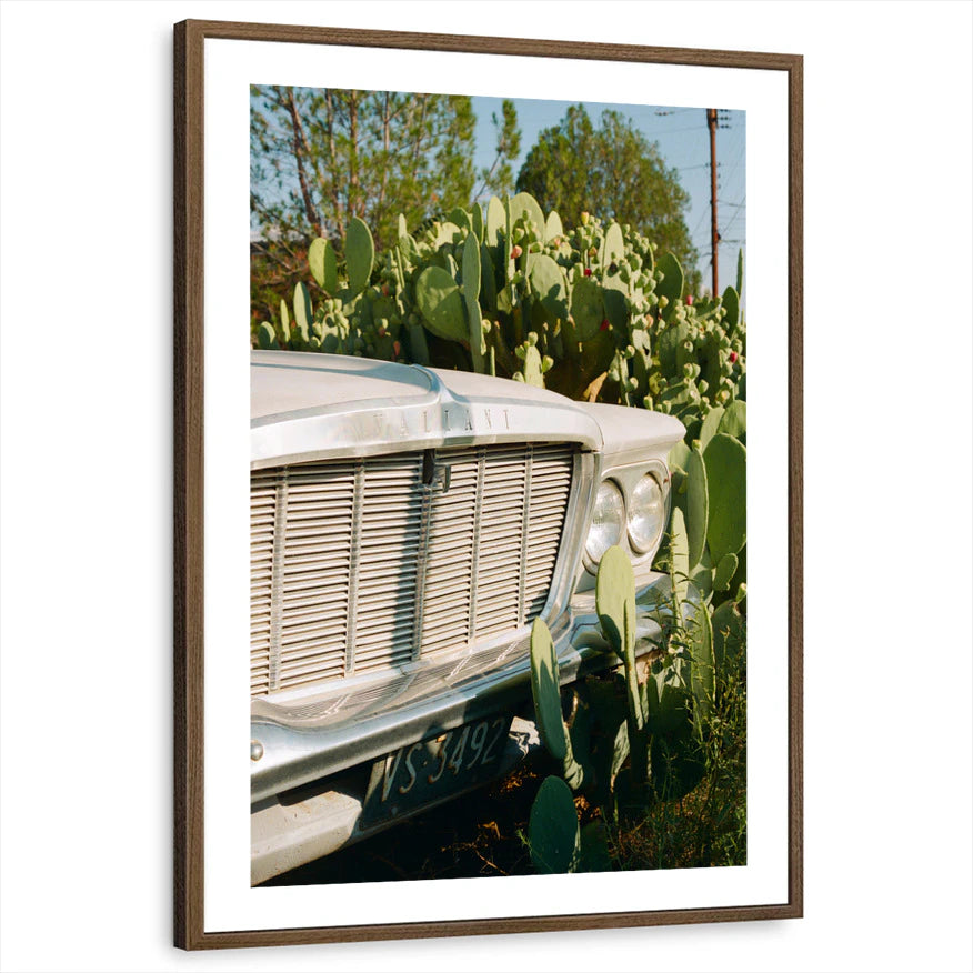 framed-print-brown-walnut-white-border