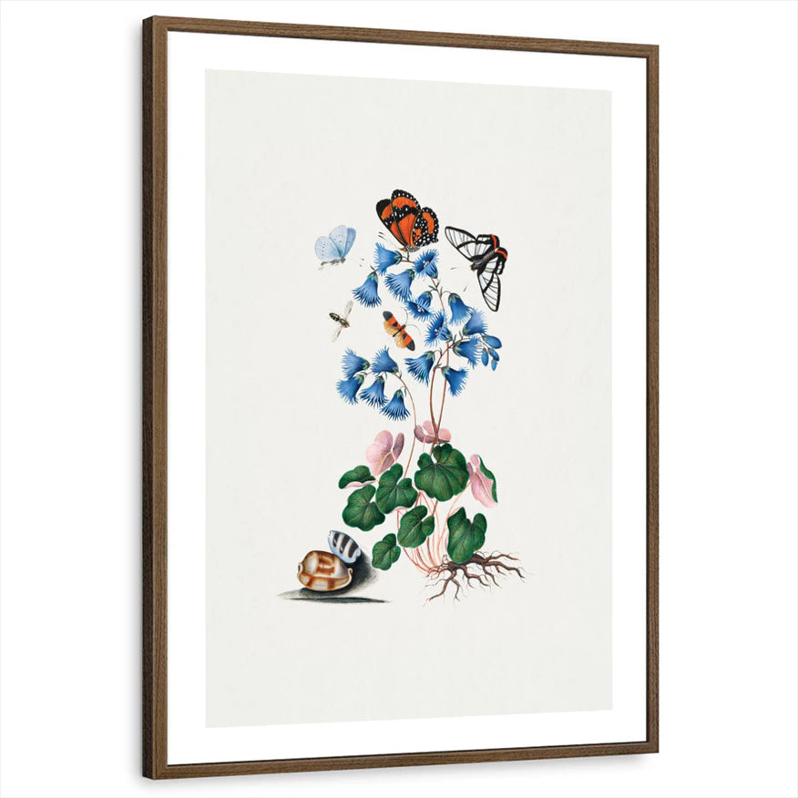 framed-print-brown-walnut-white-border