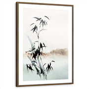 framed-print-brown-walnut-white-border