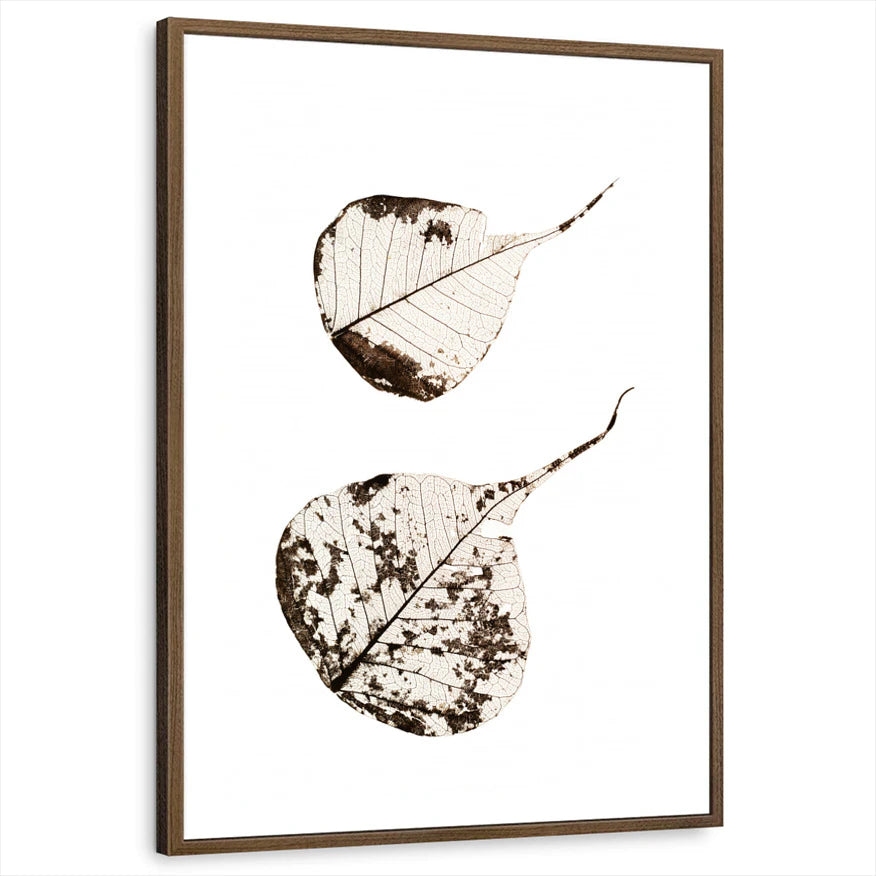 framed-print-brown-walnut-white-border