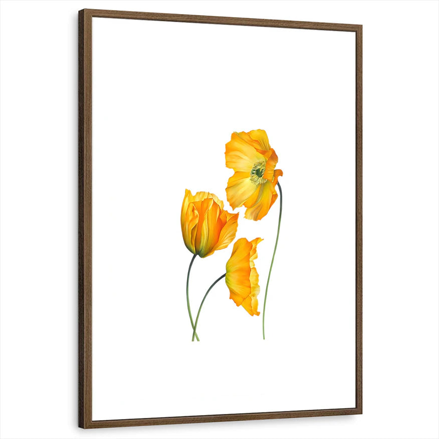 framed-print-brown-walnut-white-border