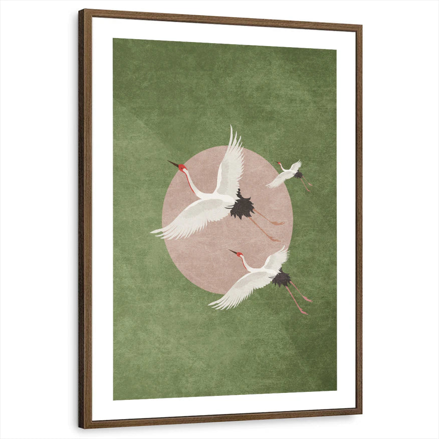 framed-print-brown-walnut-white-border