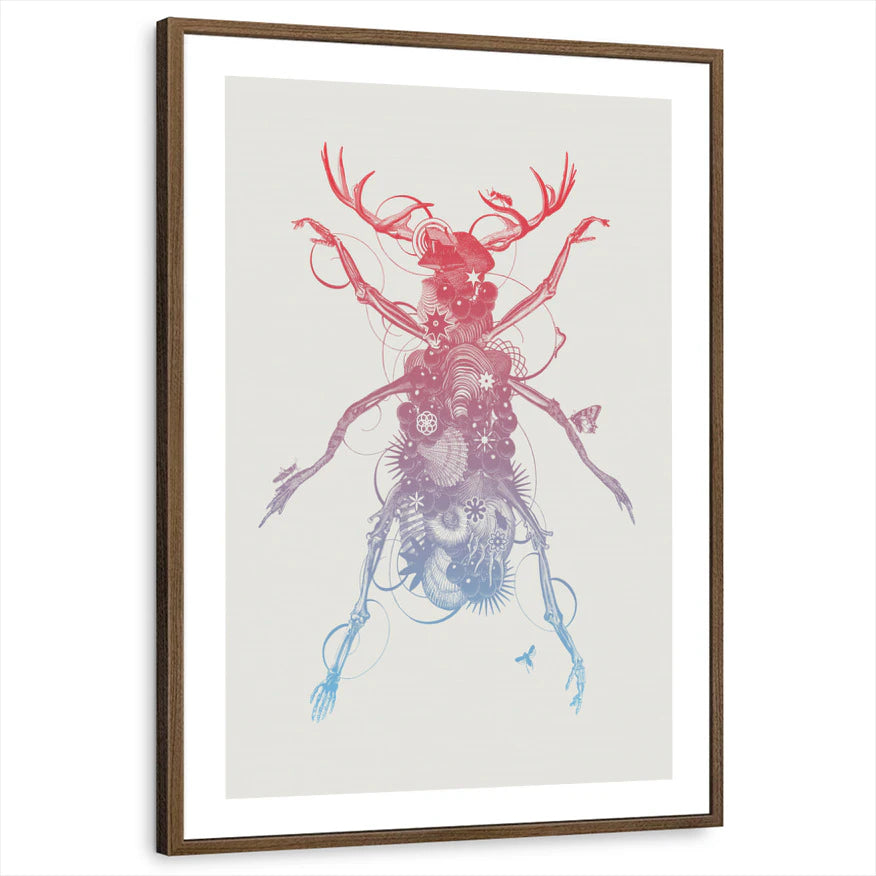 framed-print-brown-walnut-white-border