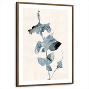 framed-print-brown-walnut-white-border