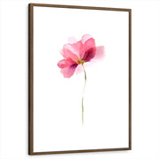 framed-print-brown-walnut-white-border