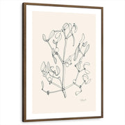 framed-print-brown-walnut-white-border