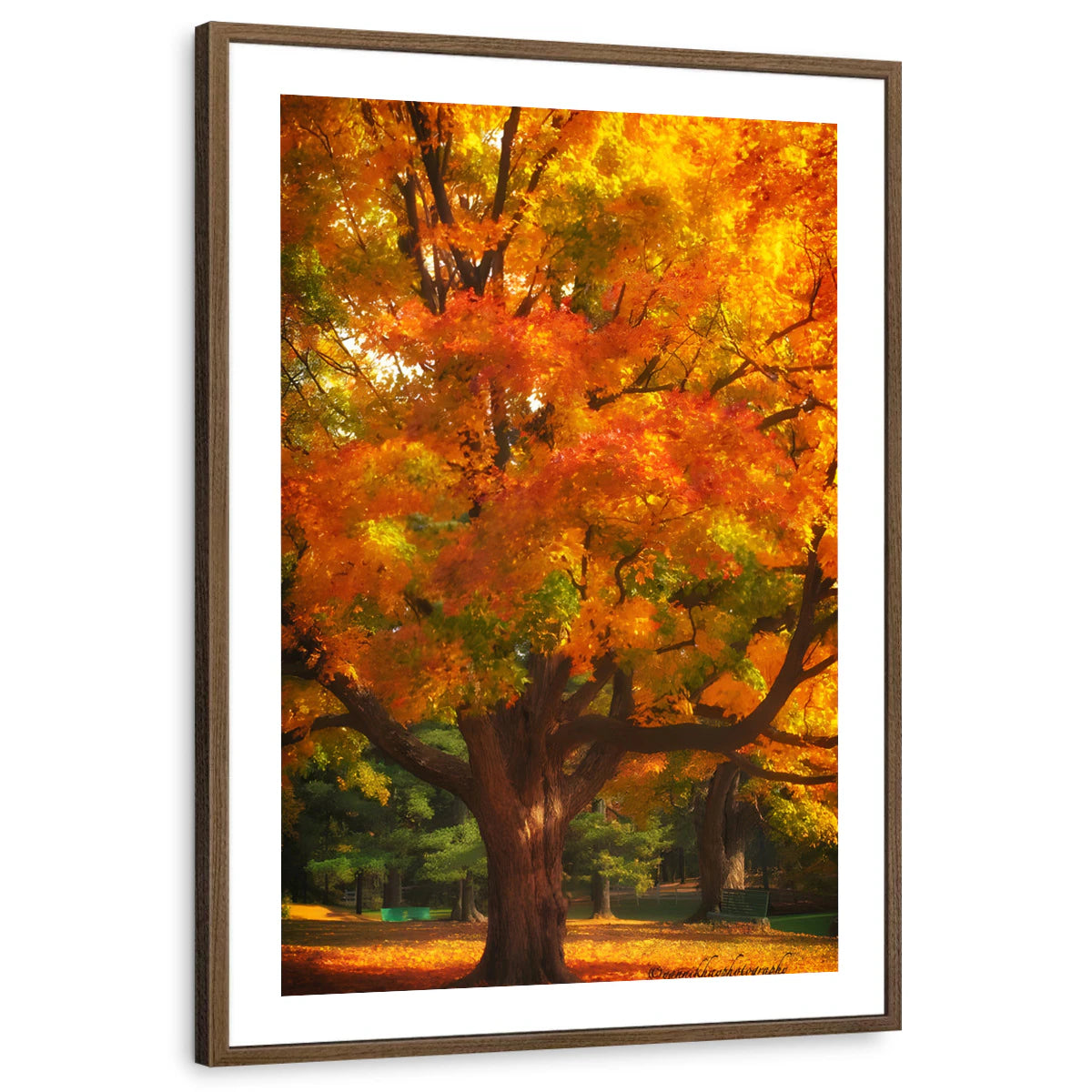 framed-print-brown-walnut-white-border