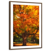 framed-print-brown-walnut-white-border