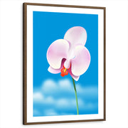 framed-print-brown-walnut-white-border