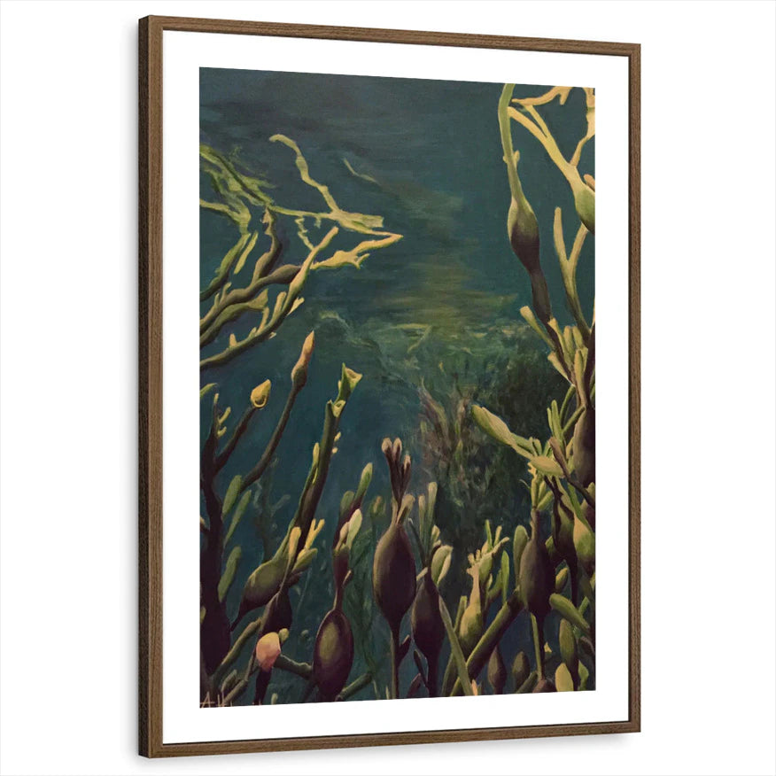 framed-print-brown-walnut-white-border