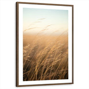 framed-print-brown-walnut-white-border