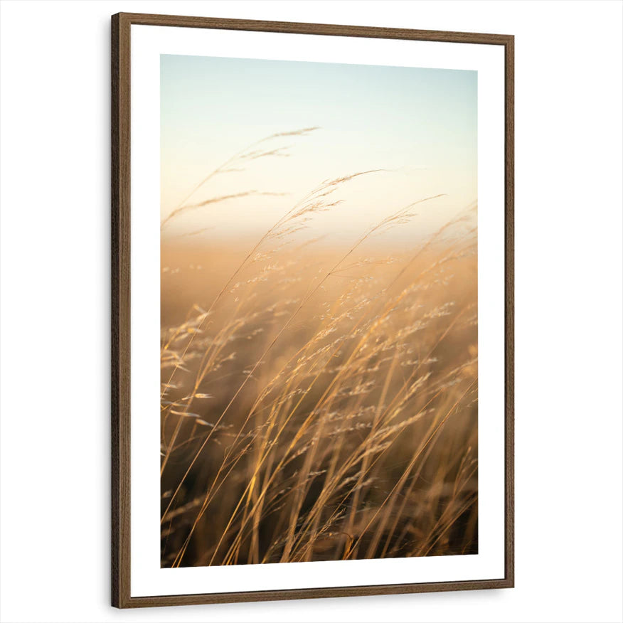 framed-print-brown-walnut-white-border
