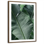 framed-print-brown-walnut-white-border