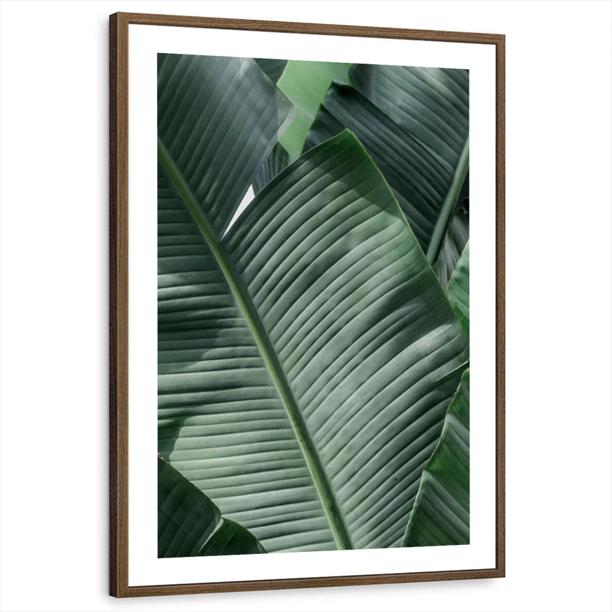 framed-print-brown-walnut-white-border