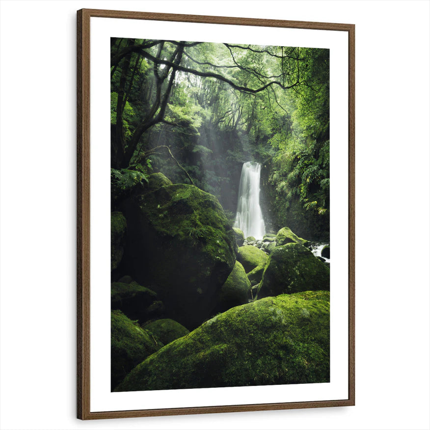 framed-print-brown-walnut-white-border