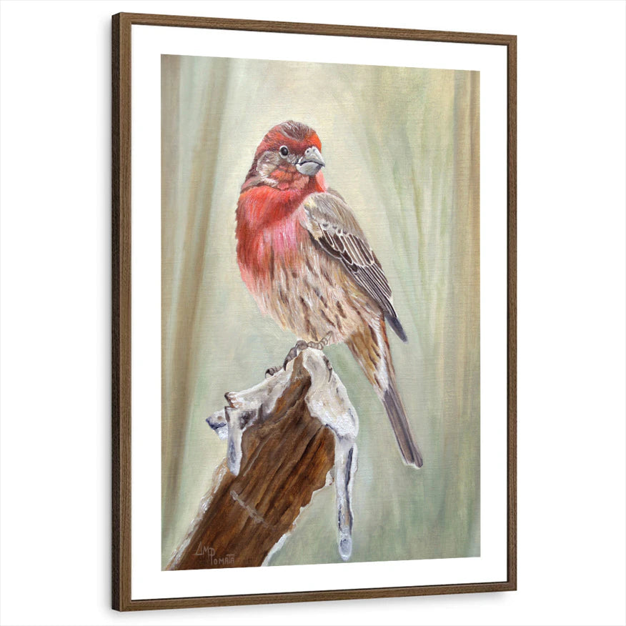 framed-print-brown-walnut-white-border