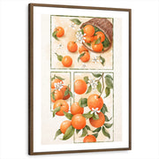 framed-print-brown-walnut-white-border