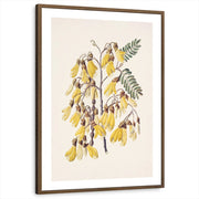 framed-print-brown-walnut-white-border