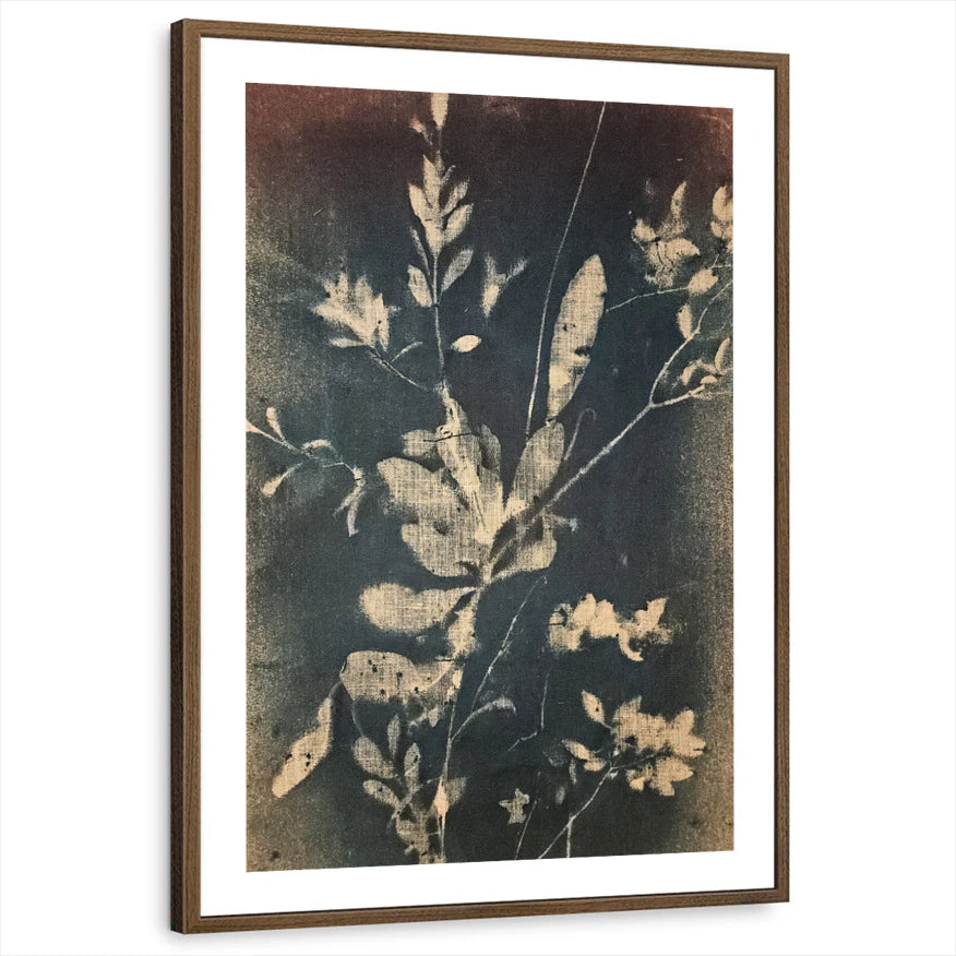 framed-print-brown-walnut-white-border