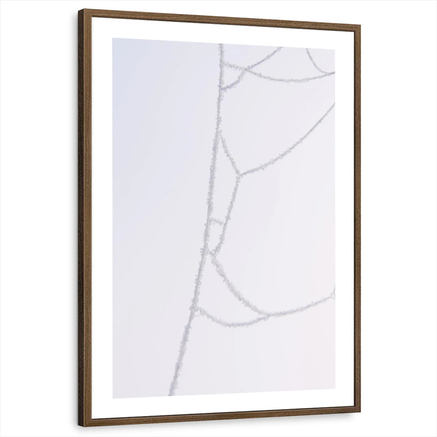 framed-print-brown-walnut-white-border