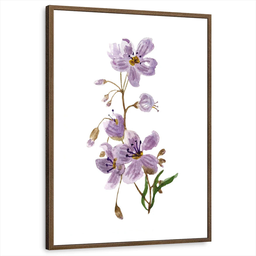 framed-print-brown-walnut-white-border