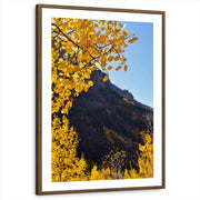 framed-print-brown-walnut-white-border