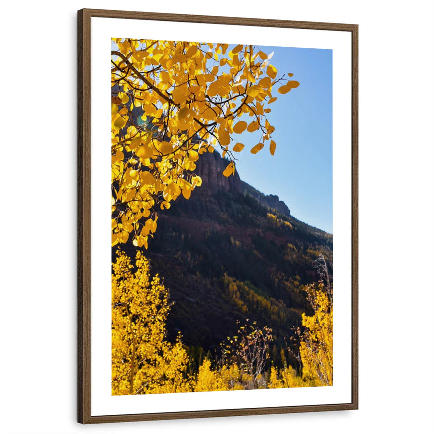 framed-print-brown-walnut-white-border