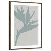 framed-print-brown-walnut-white-border