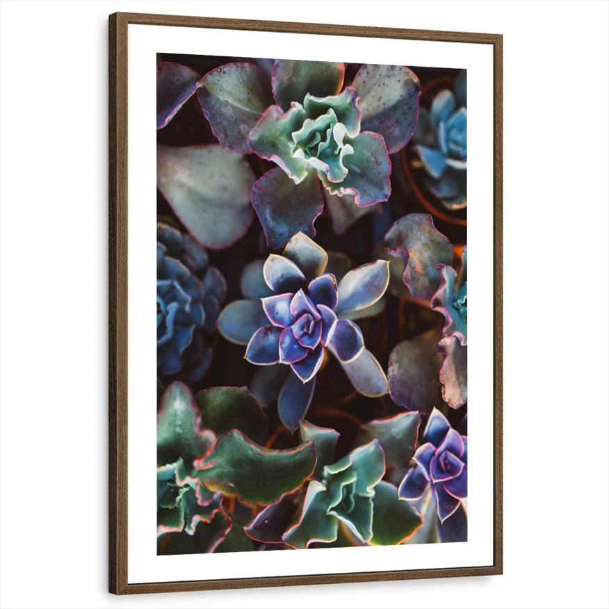framed-print-brown-walnut-white-border