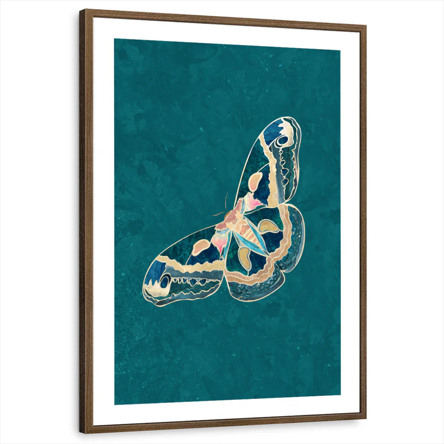 framed-print-brown-walnut-white-border