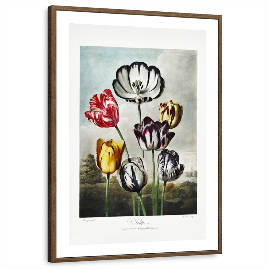 framed-print-brown-walnut-white-border