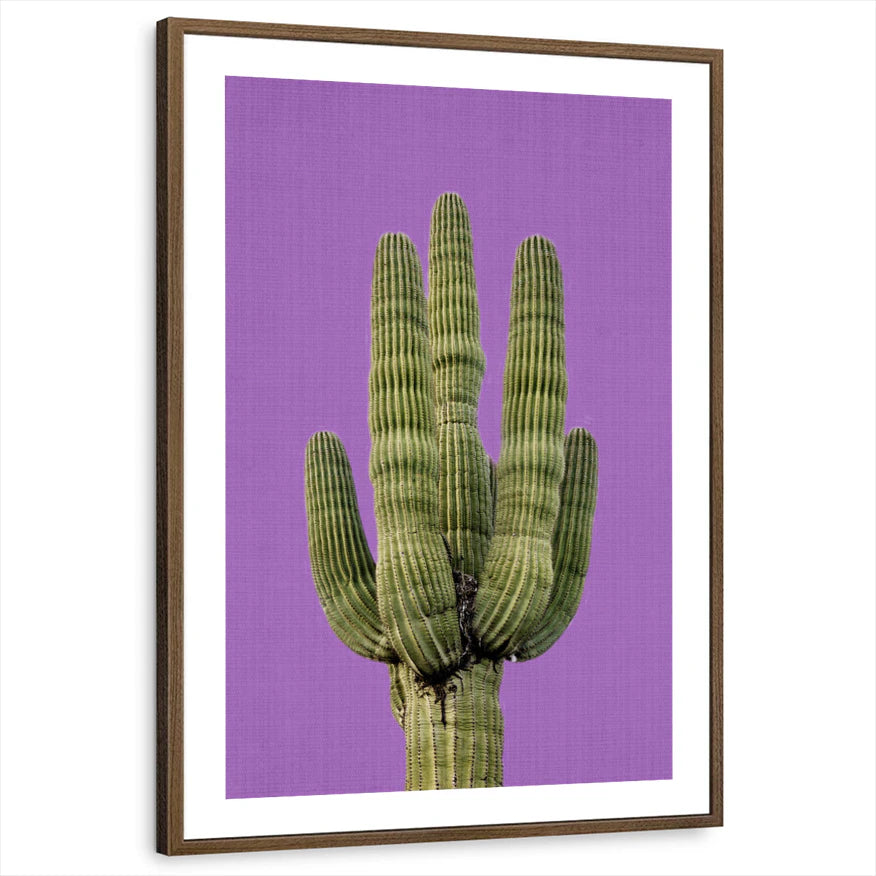 framed-print-brown-walnut-white-border