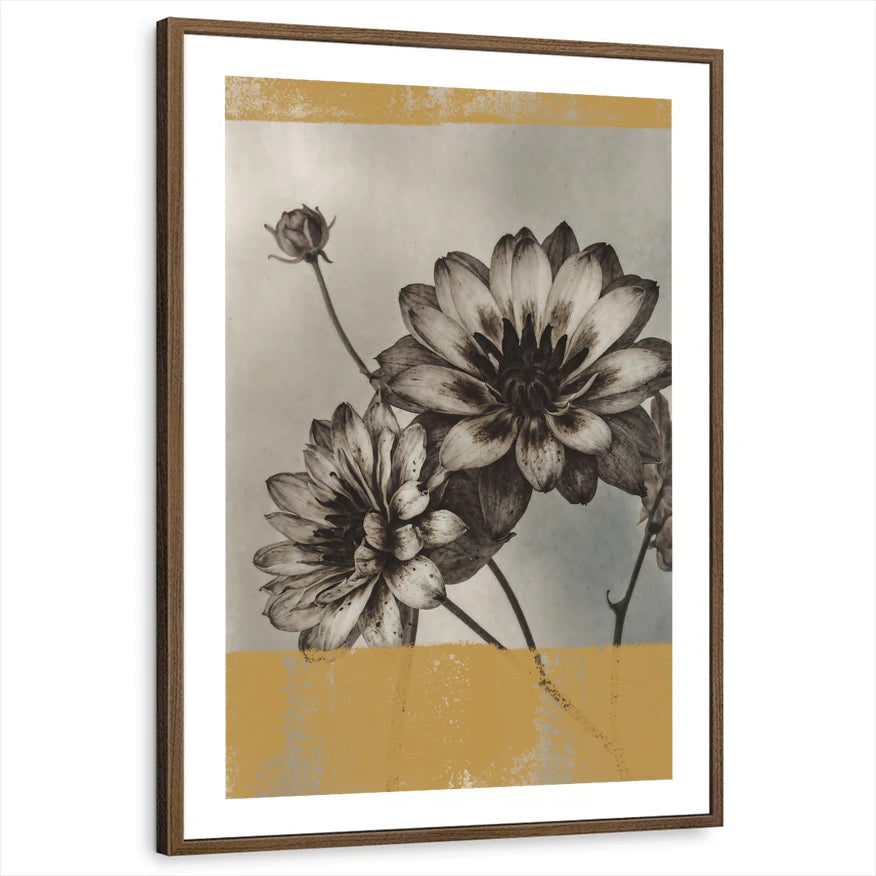 framed-print-brown-walnut-white-border