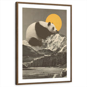 framed-print-brown-walnut-white-border