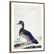 framed-print-brown-walnut-white-border