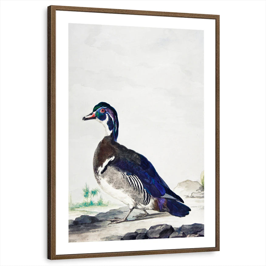 framed-print-brown-walnut-white-border