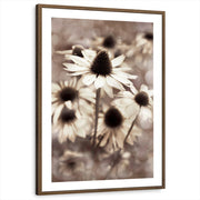 framed-print-brown-walnut-white-border
