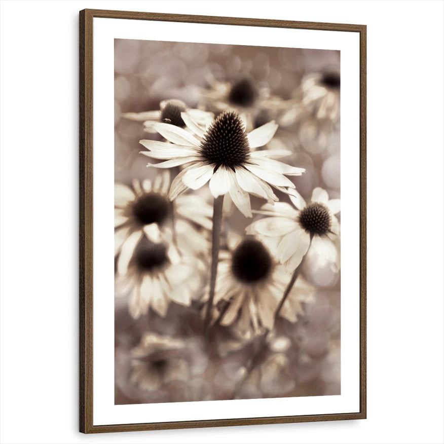 framed-print-brown-walnut-white-border