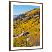 framed-print-brown-walnut-white-border