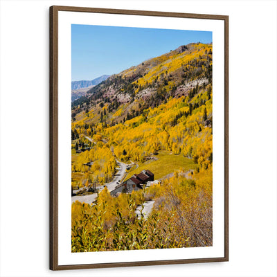 framed-print-brown-walnut-white-border