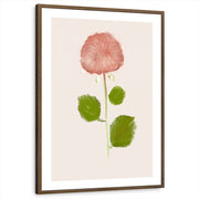 framed-print-brown-walnut-white-border