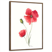 framed-print-brown-walnut-white-border