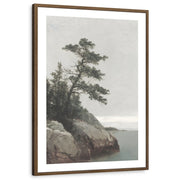 framed-print-brown-walnut-white-border